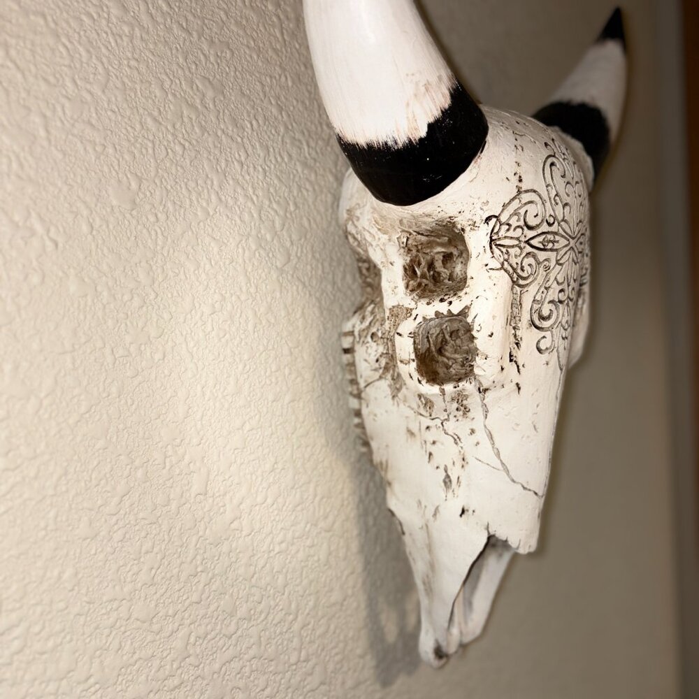 Faux Longhorn Steer Skull Wall Decor Western Farmhouse Wall Mount - Picture 2 of 6